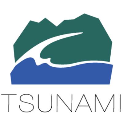 Tsunami Solutions Ltd. profile on Qualified.One