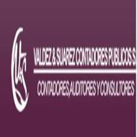 Valdez Y Suarez Contadores Publicos profile on Qualified.One