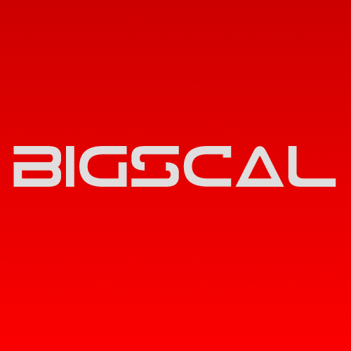 Bigscal Technologies Pvt Ltd. profile on Qualified.One