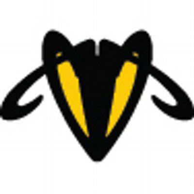 WebHornet profile on Qualified.One