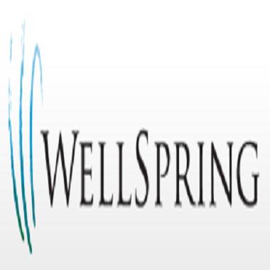 WellSpring Group profile on Qualified.One