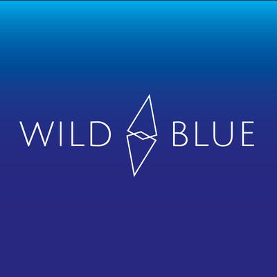 Wild Blue Digital profile on Qualified.One