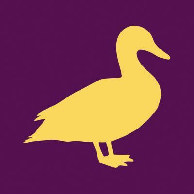 Yellow Duck Marketing profile on Qualified.One