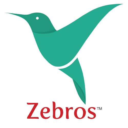 Zebros Electronics India Private Limited profile on Qualified.One